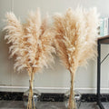 40" inch 60 Stems Natural Pampas Grass Decor Tall, pompas Grass, Tall Pampas Grass for Wedding, Party, Farmhouse, Boho Home Decor